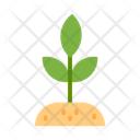 پیش‌نمایش فایل sprout-10685660 از پک طبیعت