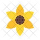 پیش‌نمایش فایل sunflower-10685627 از پک طبیعت
