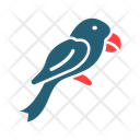 پیش‌نمایش فایل parrot-10837288 از پک دزد دریایی