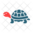 پیش‌نمایش فایل tortoise-10837259 از پک دزد دریایی