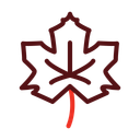 پیش‌نمایش فایل maple-leaf-14216227 از پک گیاهان و گل‌ها