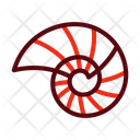 پیش‌نمایش فایل spiral-shell-14216654 از پک فصلی