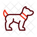 پیش‌نمایش فایل dog-walking-14304900 از پک آراستگی حیوان خانگی