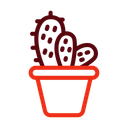 پیش‌نمایش فایل cactus-14247614 از پک بیابان