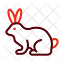 پیش‌نمایش فایل rabbit-14245371 از پک متفرقه