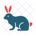 پیش‌نمایش فایل rabbit-14469740 از پک متفرقه