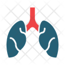 پیش‌نمایش فایل lungs-14469382 از پک سیگار کشیدن ترک