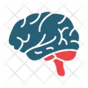 پیش‌نمایش فایل brain-14469214 از پک نِرد