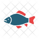 پیش‌نمایش فایل carp-14451335 از پک ماهیگیری
