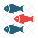 پیش‌نمایش فایل fishes-14451379 از پک ماهیگیری