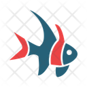 پیش‌نمایش فایل banggai-cardinalfish-14451208 از پک اقیانوس