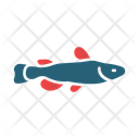 پیش‌نمایش فایل catfish-14451203 از پک اقیانوس