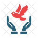 پیش‌نمایش فایل freedom-14451026 از پک خیریه