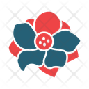 پیش‌نمایش فایل anemone-14441980 از پک گیاهان و گل‌ها