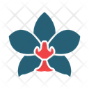 پیش‌نمایش فایل moth-orchid-14441976 از پک گیاهان و گل‌ها