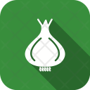 پیش‌نمایش فایل onion-18 از پک سایه‌دار گوشه‌گرد غذا