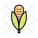 پیش‌نمایش فایل corn-27 از پک غذا، خطی پُر