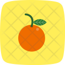 پیش‌نمایش فایل orange-47 از پک غذا، تخت با پس‌زمینه منحنی