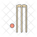 پیش‌نمایش فایل cricket-65 از پک ورزش و بازی‌ها، تخت دورخط