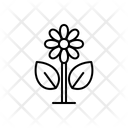 پیش‌نمایش فایل flower-1806226 از پک طبیعت
