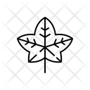 پیش‌نمایش فایل ivy-1806221 از پک طبیعت