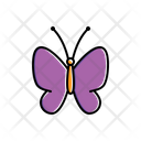 پیش‌نمایش فایل butterfly-1806289 از پک طبیعت