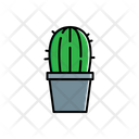 پیش‌نمایش فایل cactus-1806288 از پک طبیعت