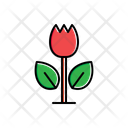 پیش‌نمایش فایل flower-1806275 از پک طبیعت