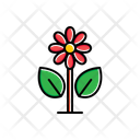 پیش‌نمایش فایل flower-1806276 از پک طبیعت