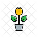 پیش‌نمایش فایل flower-pot-1806274 از پک طبیعت