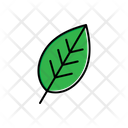 پیش‌نمایش فایل leaf-1806270 از پک طبیعت