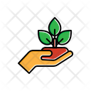 پیش‌نمایش فایل plant-on-a-hand-1806260 از پک طبیعت