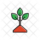 پیش‌نمایش فایل plant-with-leaves-1806258 از پک طبیعت