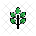 پیش‌نمایش فایل sapling-1806256 از پک طبیعت