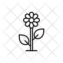 پیش‌نمایش فایل flower-1806325 از پک طبیعت