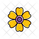 پیش‌نمایش فایل daisy-1806379 از پک طبیعت