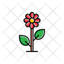 پیش‌نمایش فایل flower-1806375 از پک طبیعت