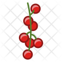 پیش‌نمایش فایل currants-7 از پک میوه