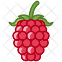 پیش‌نمایش فایل raspberry-14 از پک میوه