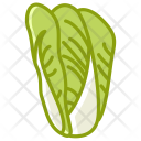 پیش‌نمایش فایل cabbage-11 از پک سبزیجات