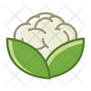 پیش‌نمایش فایل cauliflower-4 از پک سبزیجات