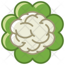 پیش‌نمایش فایل cauliflower-5 از پک سبزیجات