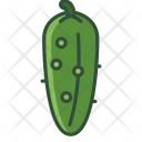 پیش‌نمایش فایل cucumber-14 از پک سبزیجات