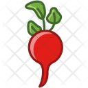 پیش‌نمایش فایل radish-5 از پک سبزیجات