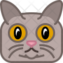 پیش‌نمایش فایل cat-42 از پک حیوانات مربعی