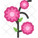 پیش‌نمایش فایل blossom از پک بهار
