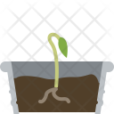 پیش‌نمایش فایل seeding-44 از پک کاشت در گلدان حلبی