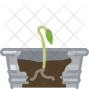 پیش‌نمایش فایل seeding-47 از پک کاشت در گلدان حلبی