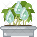 پیش‌نمایش فایل seeding-50 از پک کاشت در گلدان حلبی
