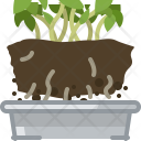 پیش‌نمایش فایل seeding-63 از پک کاشت در گلدان حلبی